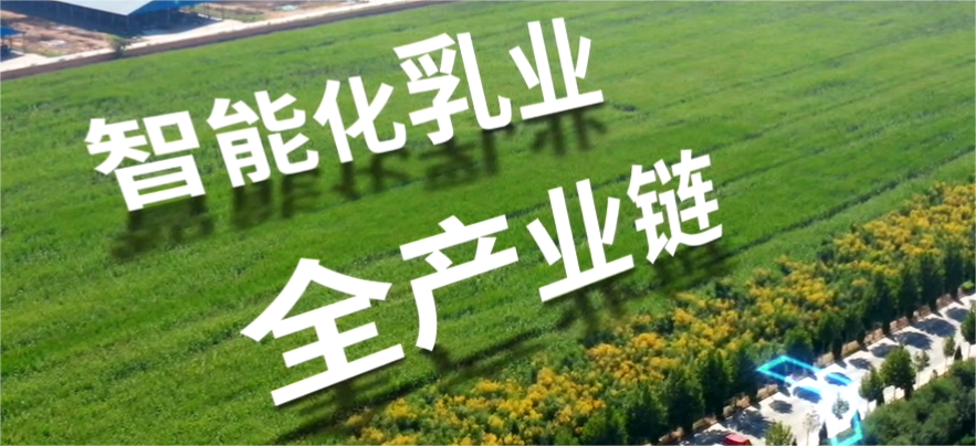 利来·国际[中国]最老牌-中国官网